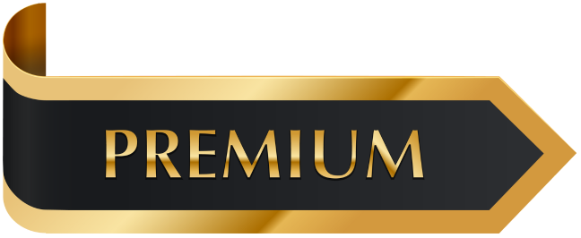 THWEBSHOP template premium
